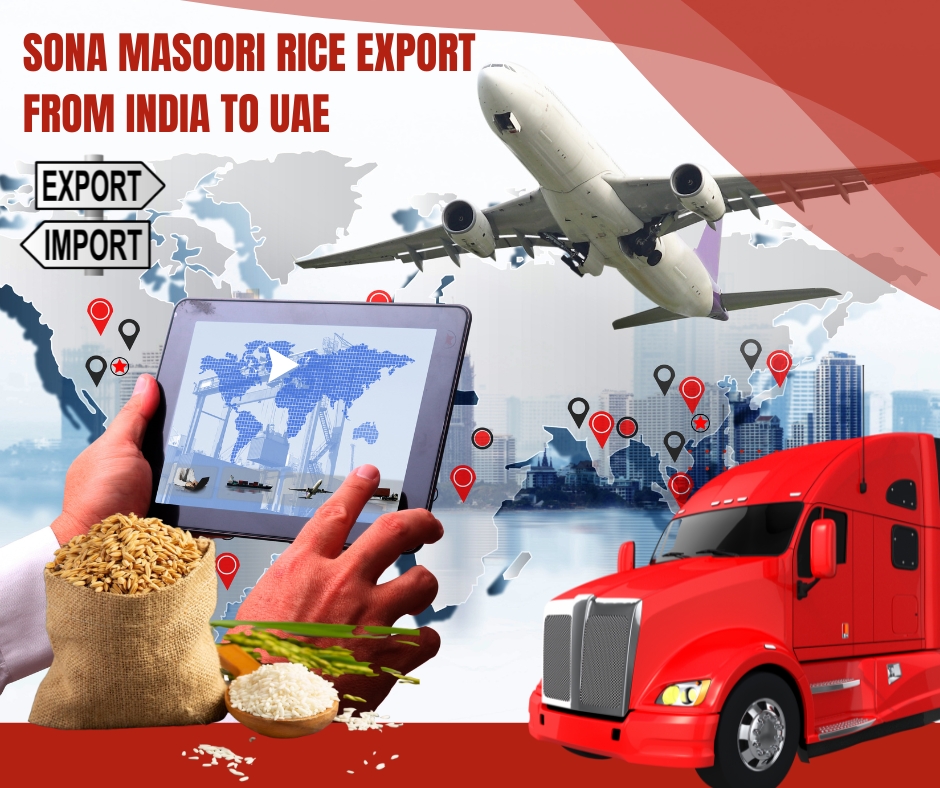 Best Sona Masoori Rice Export From India to UAE | Manjusree General Trading