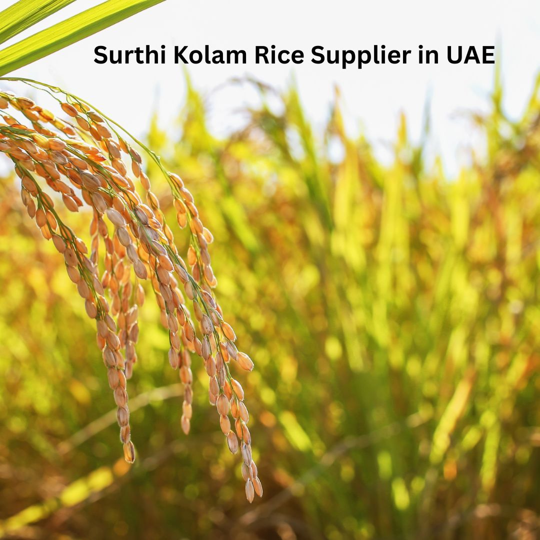 Best Surthi Kolam Rice Supplier in UAE Sharjah | Manjushree General Trading