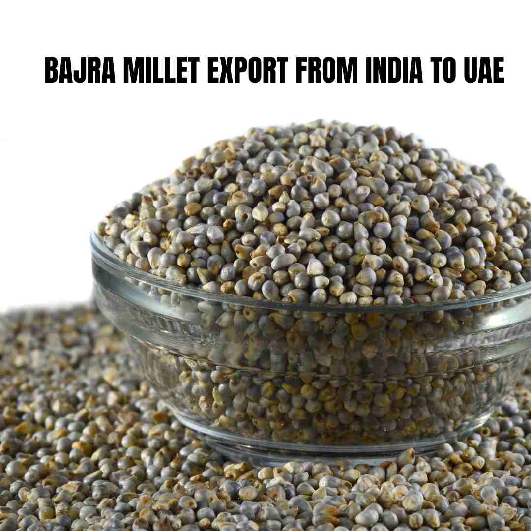 Best Bajra Millet Export From India to UAE | Manjusree General Trading